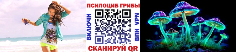 Псилоцибиновые грибы Psilocybe магазин продажи наркотиков Кемерово