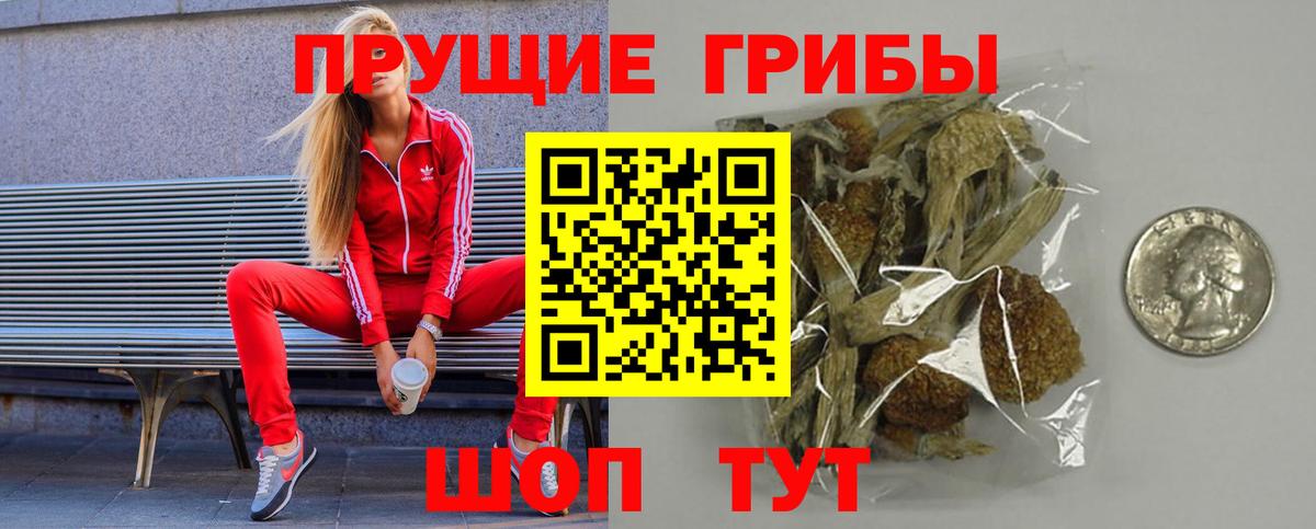 Псилоцибиновые грибы GOLDEN TEACHER Кемерово