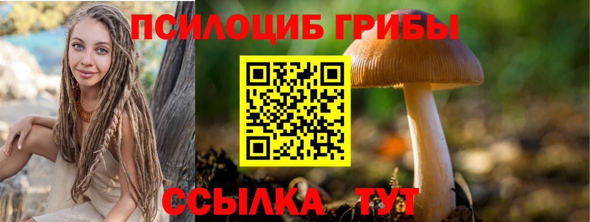 ГАШ Кемерово