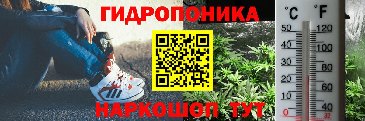 Конопля тримм  Бошки Шишки Bruce Banner  Вход с VPN  Кемерово  МАРИХУАНА Bruce Banner  Каннабис SATIVA & INDICA 